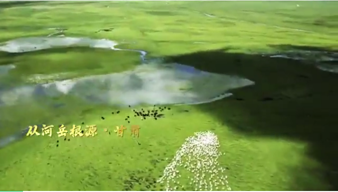 下载.png 下载.png